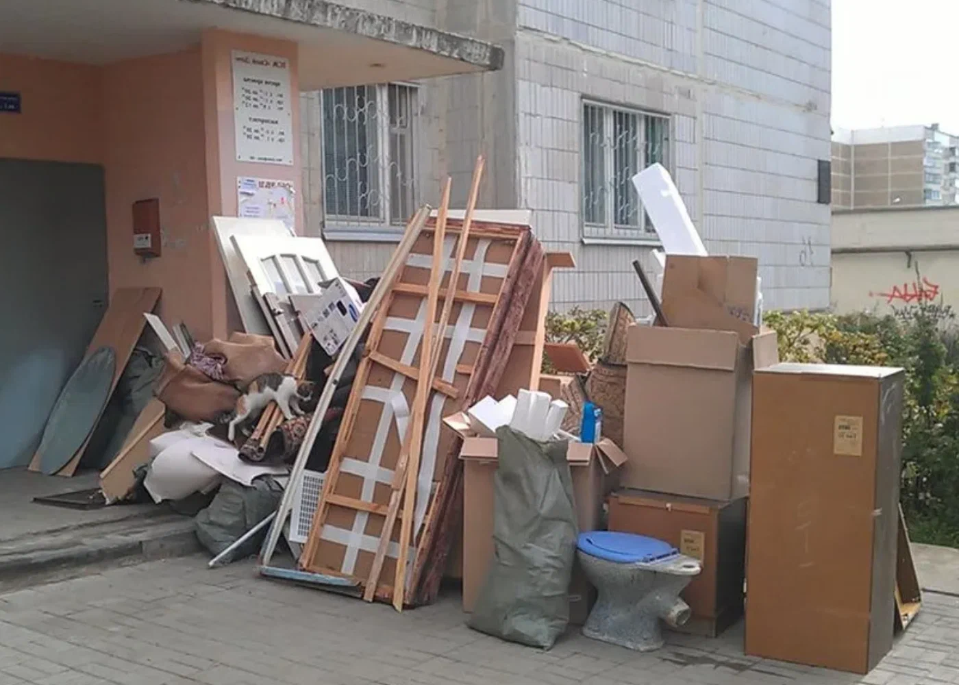 Профессиональный вывоз мусора из квартиры в Каспийске в октябре