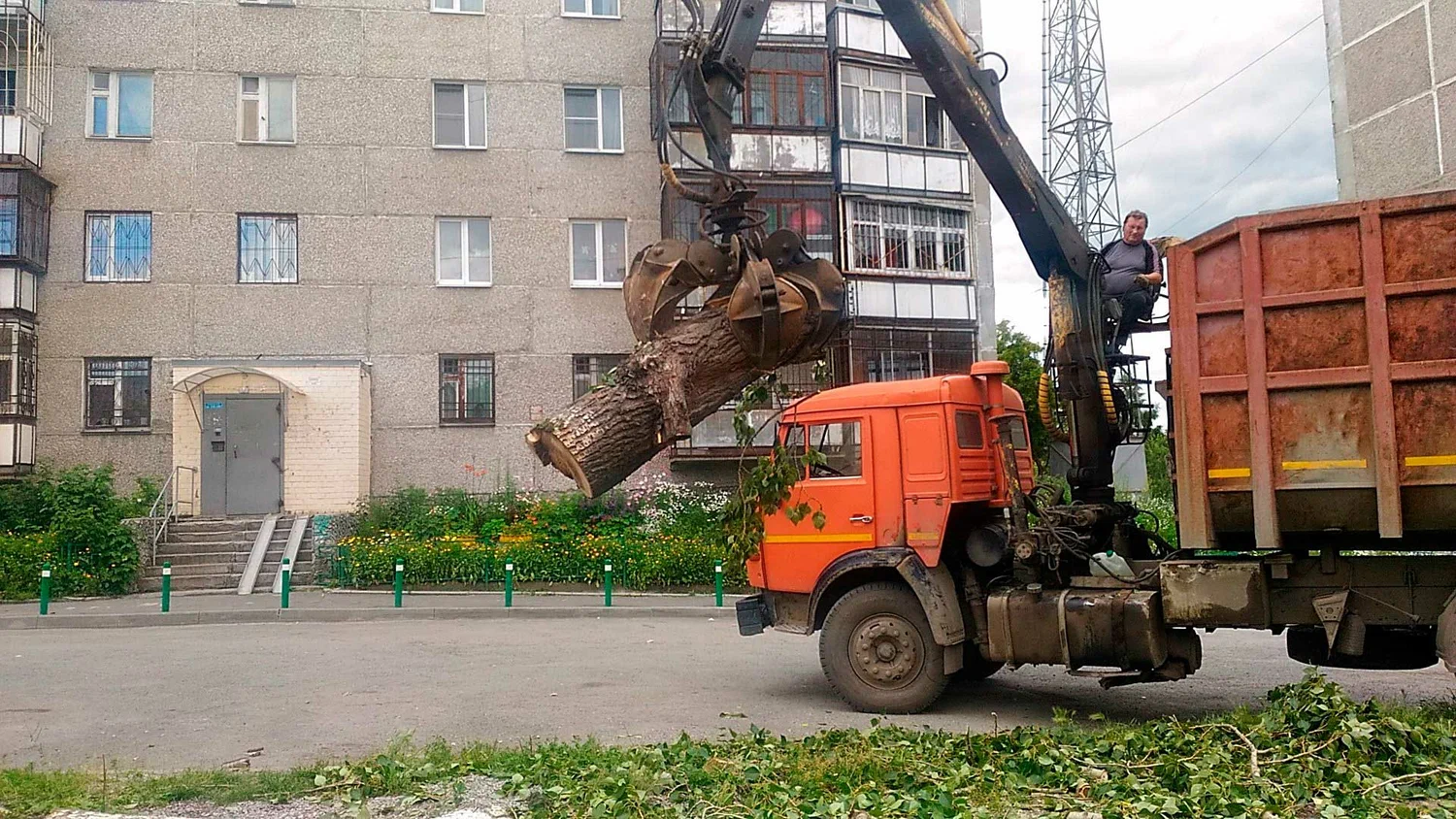 Вывоз спиленных веток и деревьев в Каспийске от ПроМусор: порубочные остатки, утилизация, цена от 2952 руб