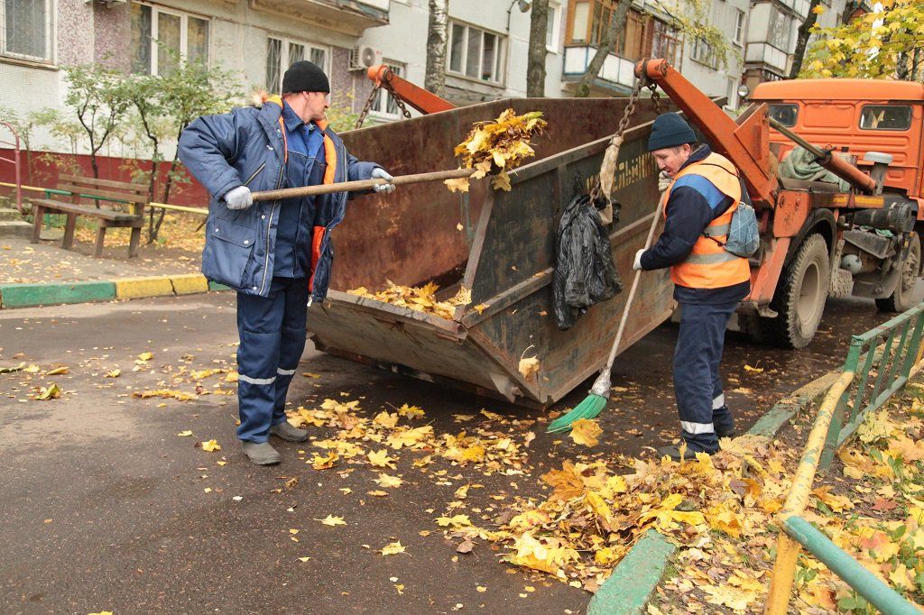 Вывоз опавшей листвы и растительного мусора в Каспийске от ПроМусор – цена от 4581 руб., быстрая уборка и утилизация